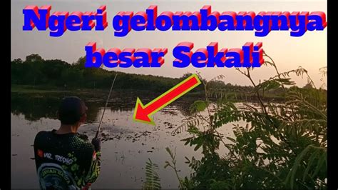 Cesting Ikan Gabus Setelah Puasa Ramadhan Ikangabus Cestingikangabus