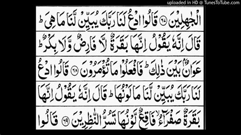 Surah Al Baqra Ayat No68 To 69translation Youtube