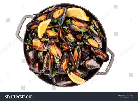 37 Bivalve Cast Images, Stock Photos & Vectors | Shutterstock