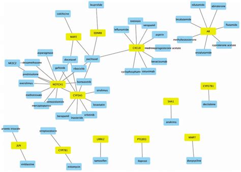 Drug Gene Interaction Diagram Yellow Squares Represents The Degs And