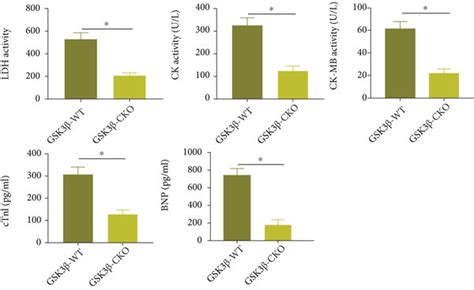 Deletion Of Gsk3β Inhibits Mir Injury A Western Blot Analysis Was