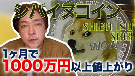 仮想通貨 話題のシバイヌコイン Shiba Inu 30万円が1億4000万 Shib Doge 暗号資産 Youtube