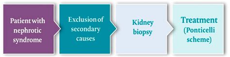 Jcm Free Full Text Membranous Nephropathy From Research Bench To Personalized Care