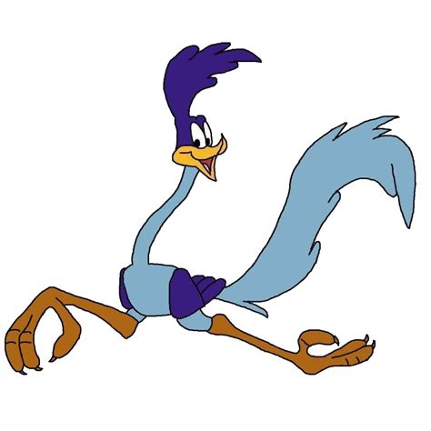 Looney Tunes Road Runner Cartoon