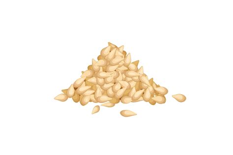 Sesame Seed White Pile Cartoon Vector Graphic By Pikepicture Creative