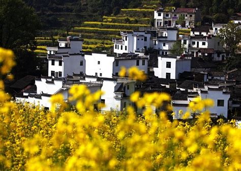 Top China Countryside to Enjoy Rapeseed Flowers in March, Best Spring ...