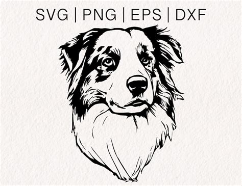 Australian Shepherd Svg Aussie Svg Dog Face Vector Smooth Collie Svg