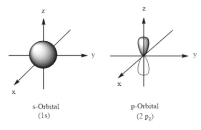 Answered: Sketch the 1s and 2p orbitals. How do… | bartleby