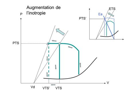 La Relation Pression Volume Echocardioblog