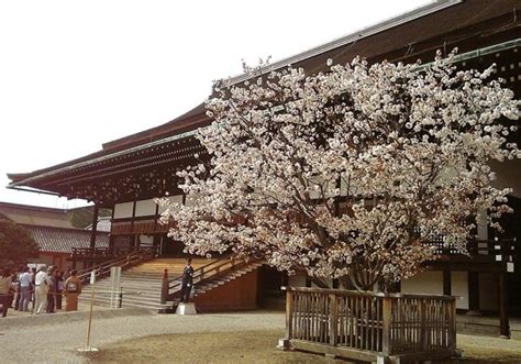 Kyoto Imperial Palace has opened to the public as a general tourist ...