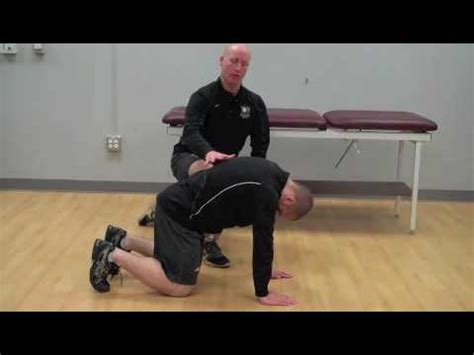 L Spine Mobility Cat Camel Cow Youtube