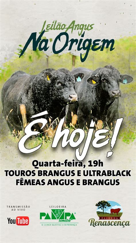 Cat Logo Extra Leil O Angus Na Origem Fazenda Renascenca