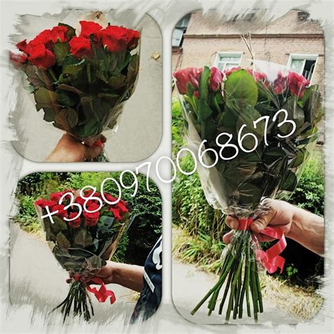 Доставка цветов Кривой Рог⋘ Флора-КР☎ +380970068673