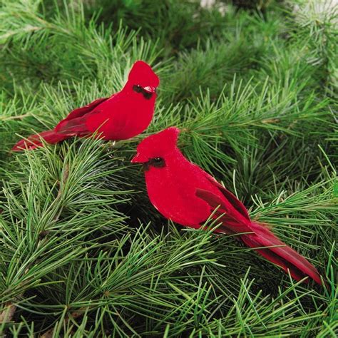 Set Of 2 Cardinal Bird Clip Ornaments 45 Long By Gallerie Ii