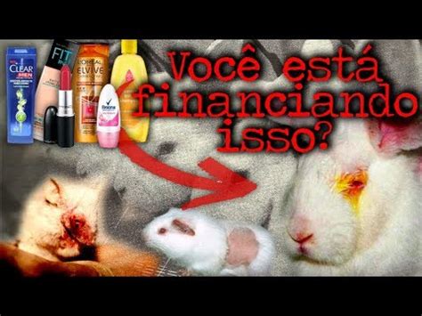 Testes de Cosméticos em Animais YouTube