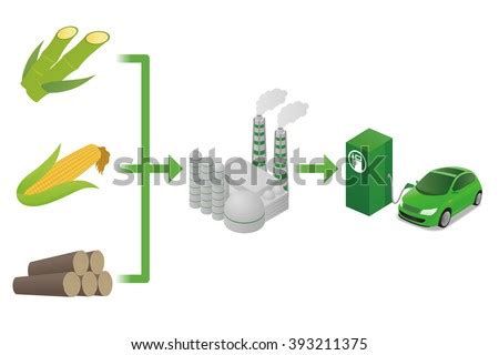 Biofuel Biomass Ethanol Made Form Sugar Stock Vector Royalty Free