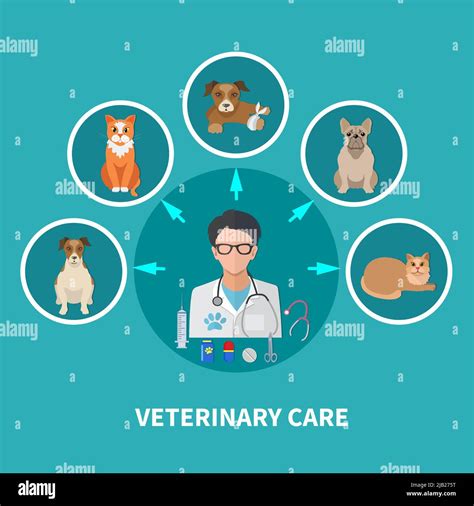 Veterinary Care Flat Round Icons Composition Background Poster With