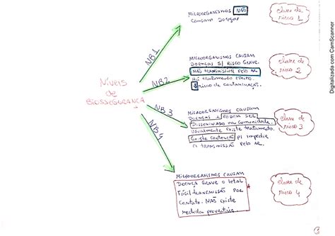 Noções de Biossegurança em Laboratórios Mapa mental Laboratorio