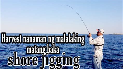 Nadale Sa Jigging Ang Mga Malalaking Matang Baka Shore Jigging