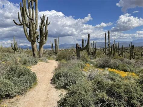 10 Best Trails and Hikes in Scottsdale | AllTrails