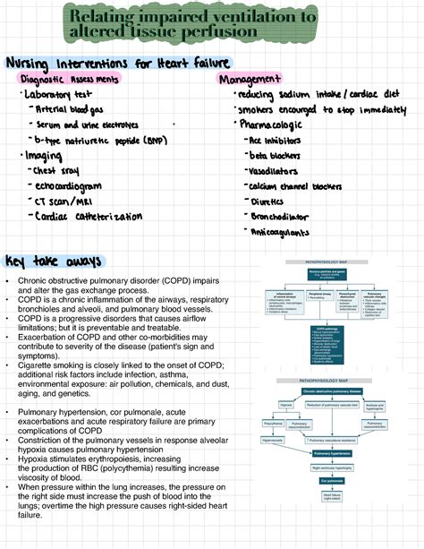 Relating Impaired Ventilation To Altered Tissue Perfusion 6 Relating