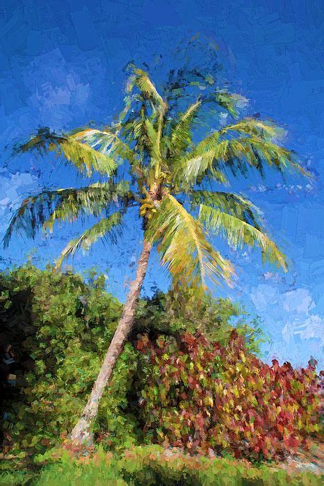 Coconut Palm Tree By Hh Photography Of Florida Palm Tree Art Tree