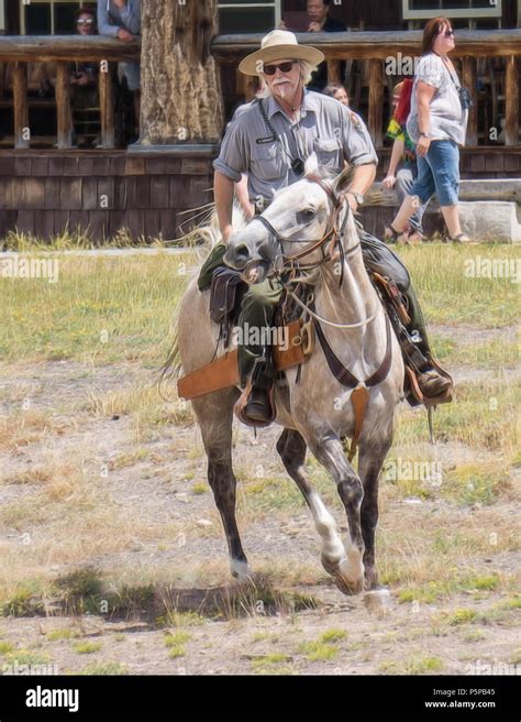 Yellowstone Park ranger riding his horse Stock Photo - Alamy