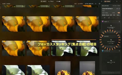 luminar neo