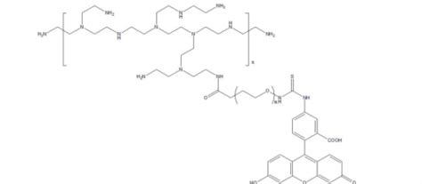 聚乙烯亚胺 聚乙二醇 荧光素，pei Peg Fitc 修饰性peg