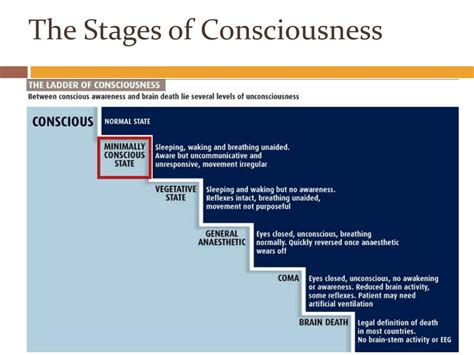 Ppt Consciousness Powerpoint Presentation Free Download Id5812899