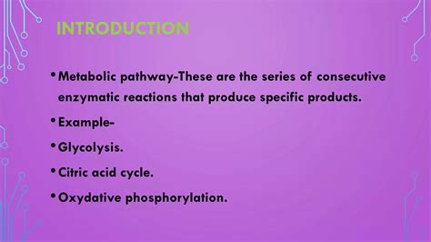 Metabolic Pathways Analysis Ppt