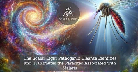 The Scalar Light Pathogenic Cleanse Identifies And Transmutes The Parasites Associated With Malaria