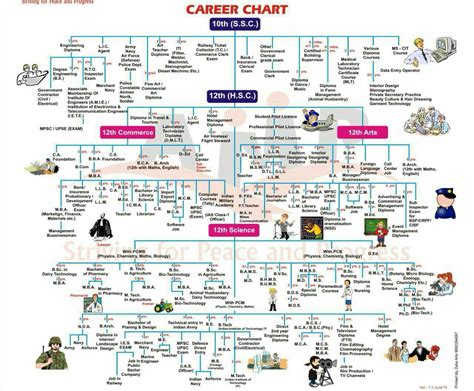 Career Chart Eloksevaonline