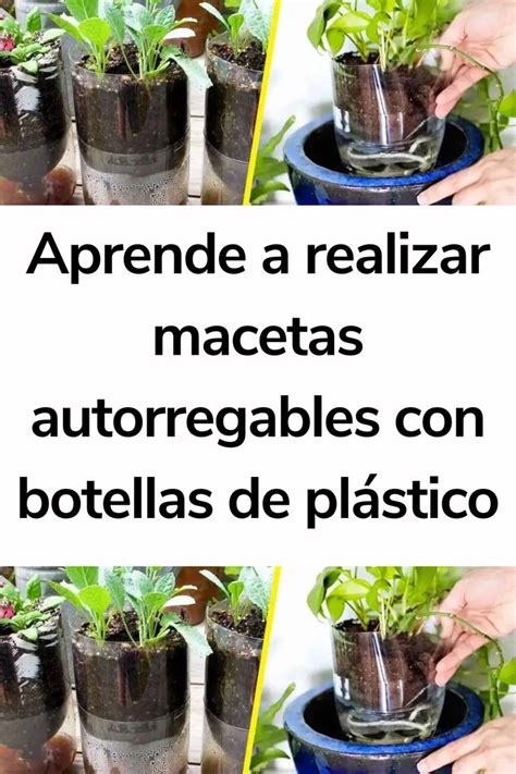 Aprende A Realizar Macetas Autorregables Con Botellas De Pl Stico