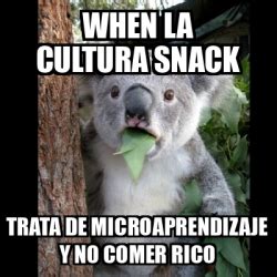 Meme Koala When La Cultura Snack Trata De Microaprendizaje Y No Comer