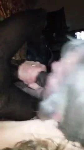 Une Mamie Bbw Blanche Suce Une Grosse Bite Noire Xhamster