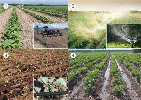 Aprende Todo Sobre Los Tipos De Riego Y Su Funciones