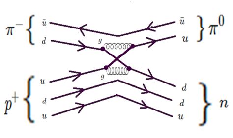 Introduction to feynman diagrams - hostcam