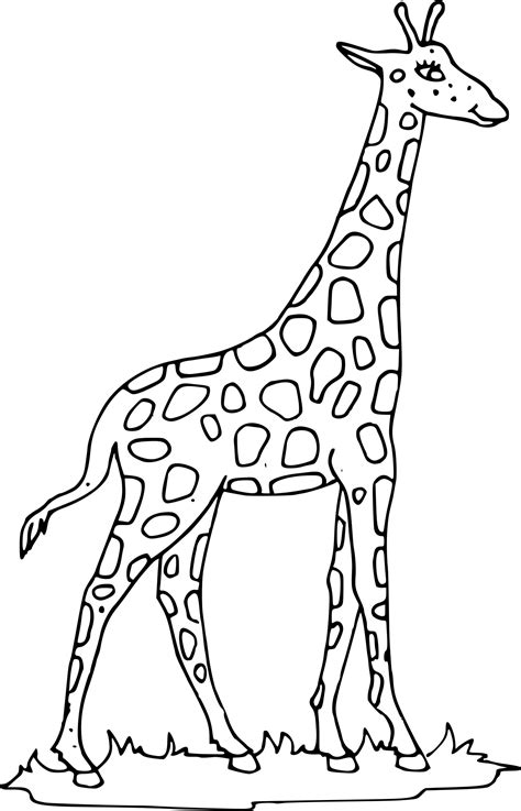 Coloriage Girafe Imprimer