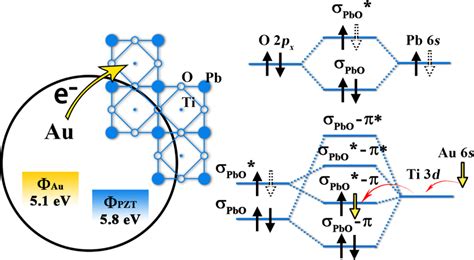 Schematics Of The Mechanism Of Charge Transfer At The Pzt Au Interface