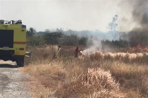 Kebakaran Lahan Di Bandara Kertajati Majalengka Sempat Meluas Diduga