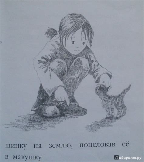 Книга: Котёнок Пушинка, или Рождественское чудо - Холли Вебб. Купить ...