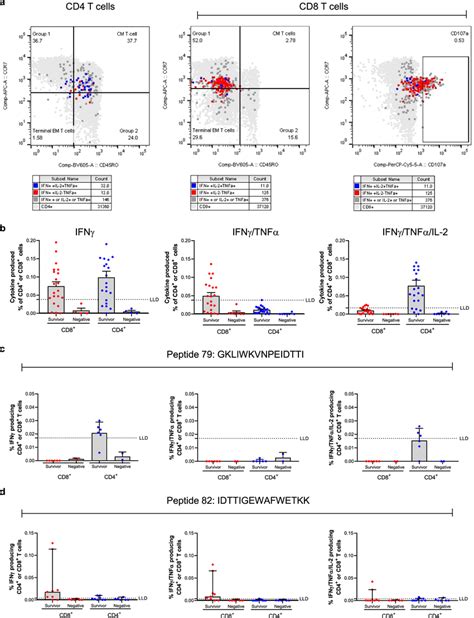 Flow Cytometry Studies To Characterise The Evd Survivor T Cell