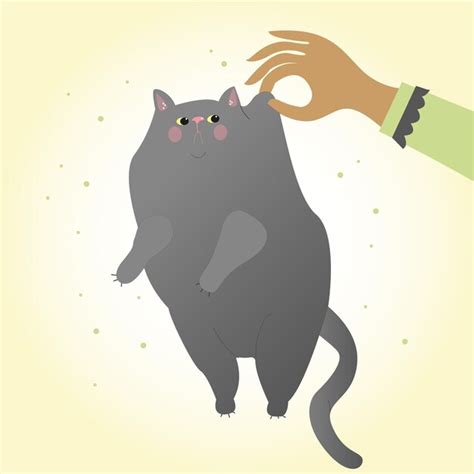 La Mano Sostiene Un Gato Gris Grueso Vector Premium