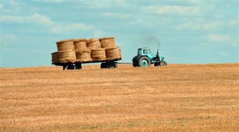 Northwest Region Received Rains Continued Harvests Morning Ag Clips