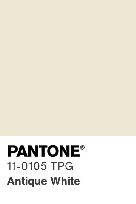 PANTONE 11 0105 TPG Antique White Pantone色号库 Pantone潘通中国官网