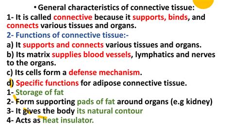 Solution Connective Tissue Structure Studypool