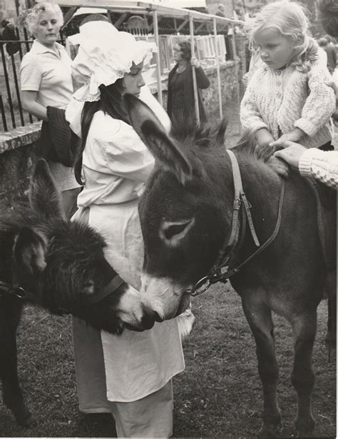 Gallery – Milton Abbas Street Fair