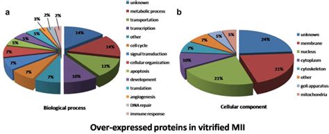 Missing And Overexpressing Proteins In Domestic Cat Oocytes Following