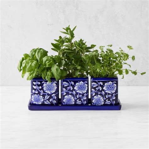 Blue And White Ceramic Herb Tray With Pots Set Of 3 Williams Sonoma